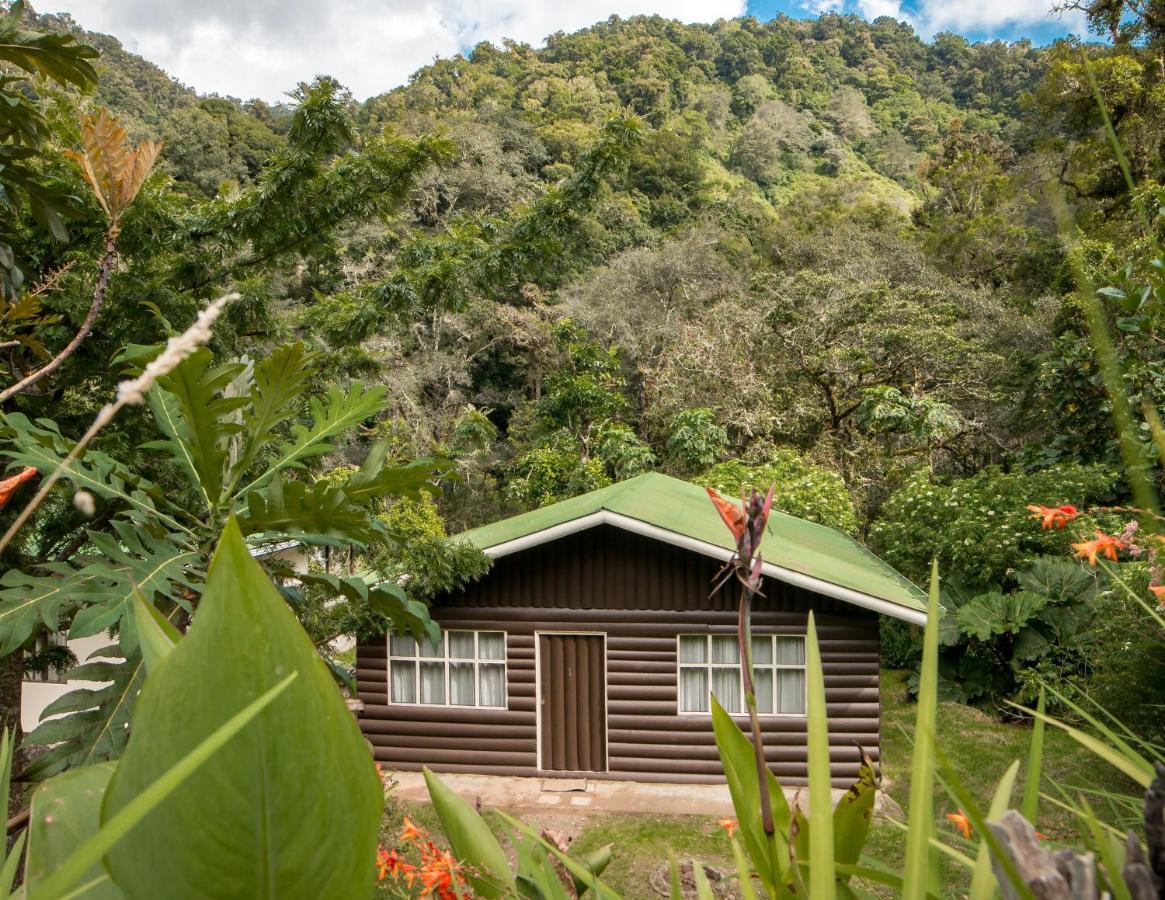 Cabinas El Quetzal San Gerardo de Dota Ngoại thất bức ảnh