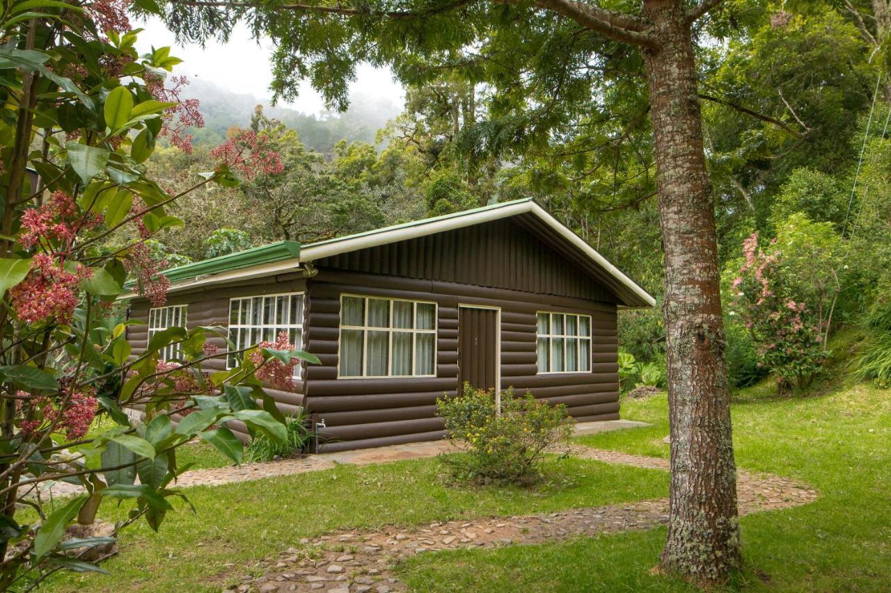 Cabinas El Quetzal San Gerardo de Dota Ngoại thất bức ảnh