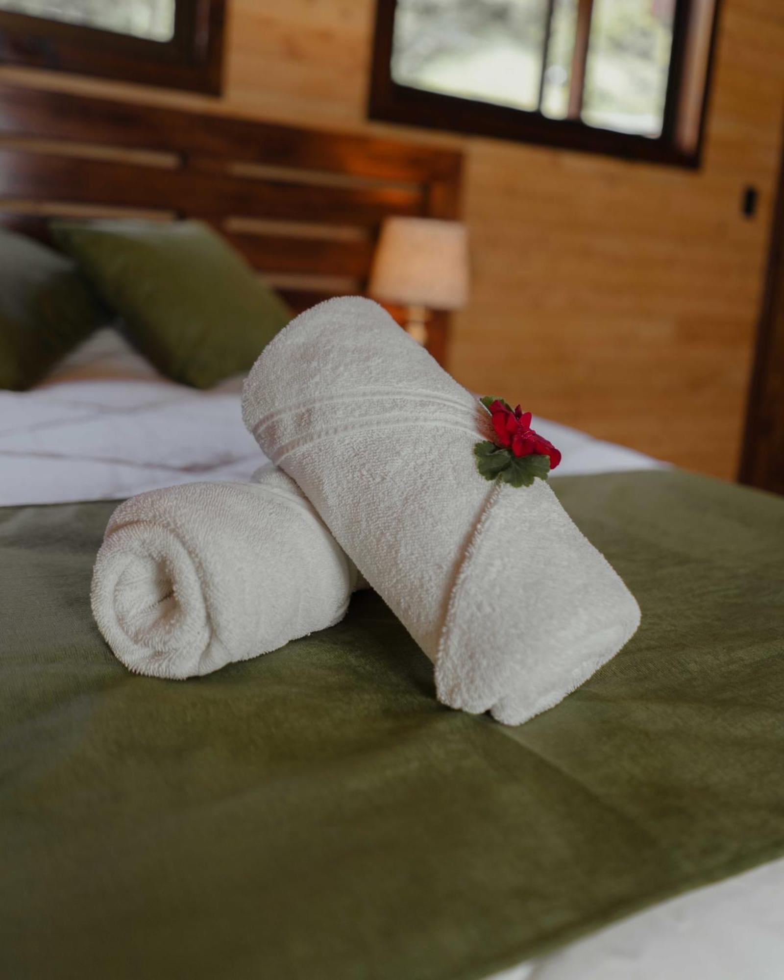 Cabinas El Quetzal San Gerardo de Dota Ngoại thất bức ảnh