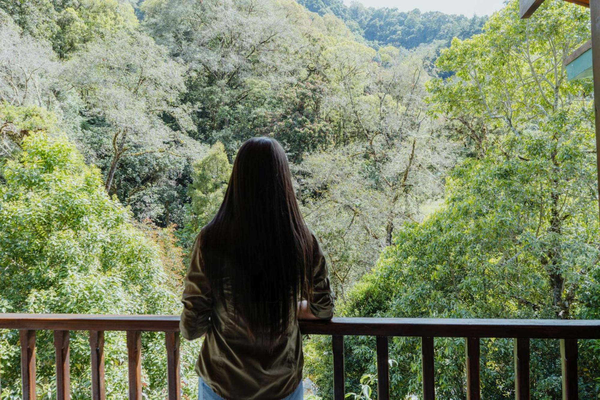 Cabinas El Quetzal San Gerardo de Dota Ngoại thất bức ảnh