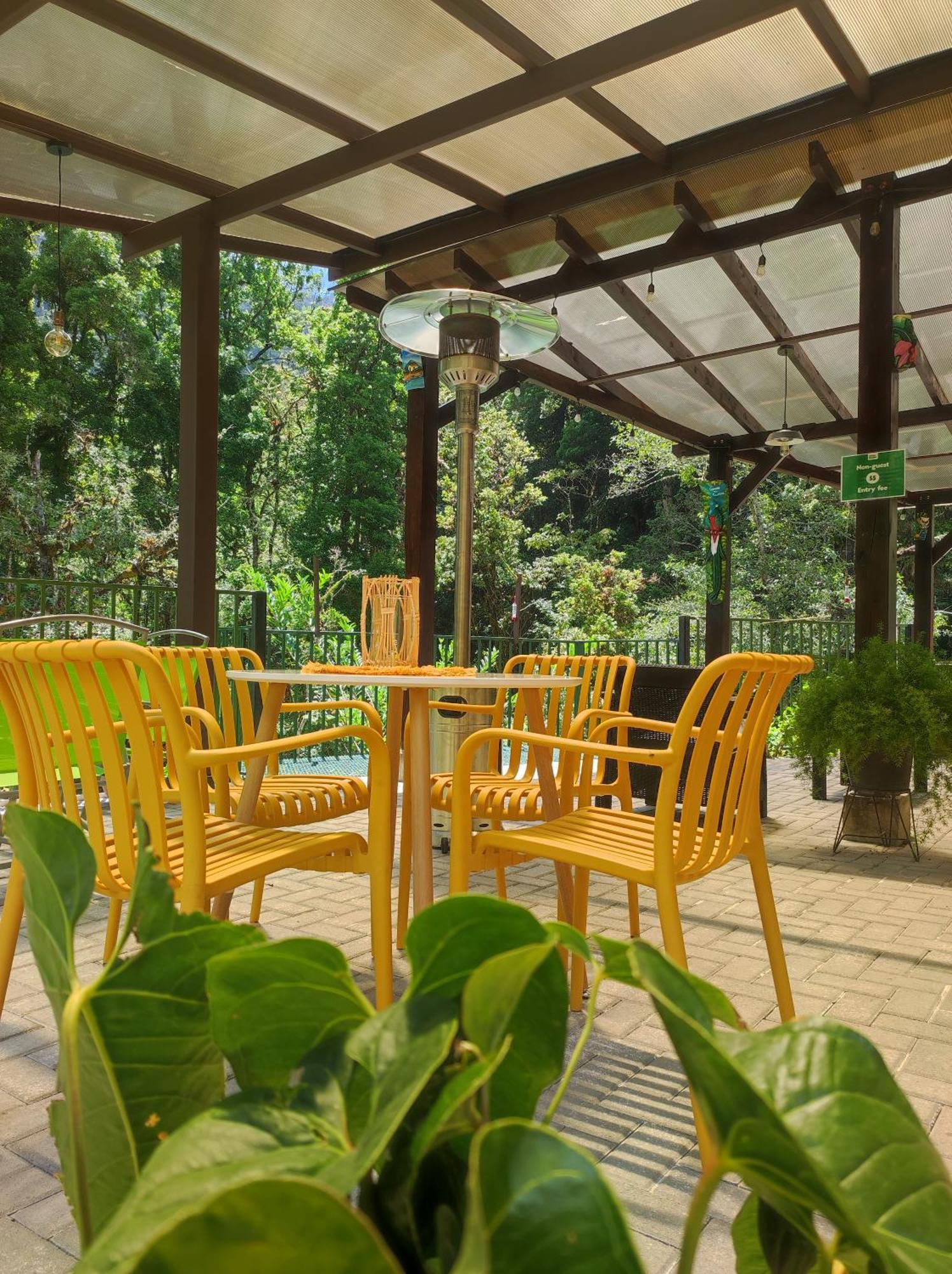 Cabinas El Quetzal San Gerardo de Dota Ngoại thất bức ảnh